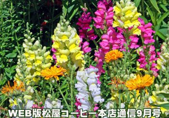 WEB版松屋コーヒー本店通信9月号