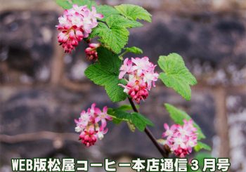WEB版松屋コーヒー本店通信３月号